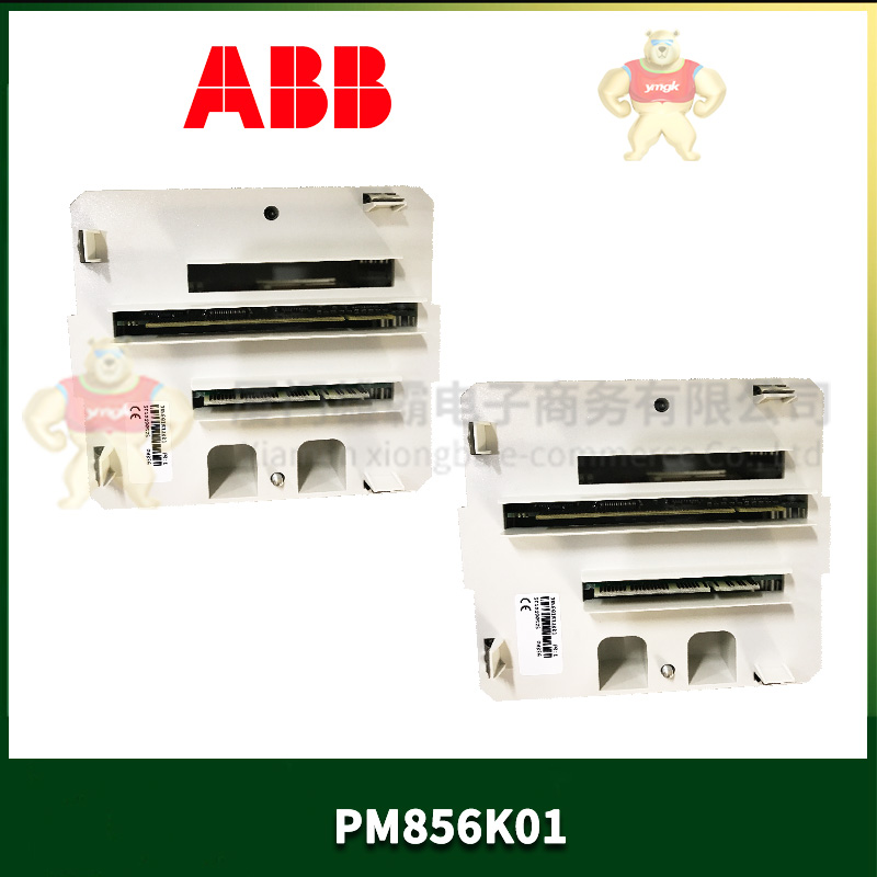 ABB PM856K01 (3).jpg