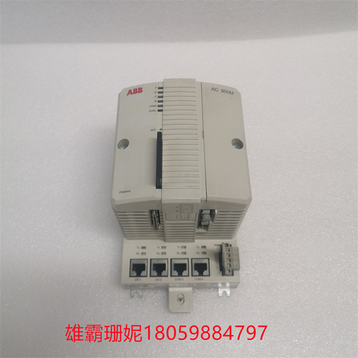 ABB PM864AK01 3BSE018161R1 (1).jpg