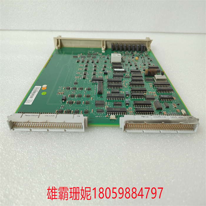 DSBC176 3BSE019216R1(2).jpg