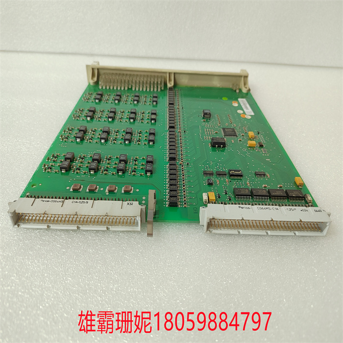 DSDI110AV1 3BSE018295R1(1).jpg