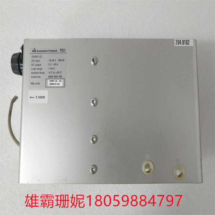 ABB DSSR122 4899001-NK (1).jpg