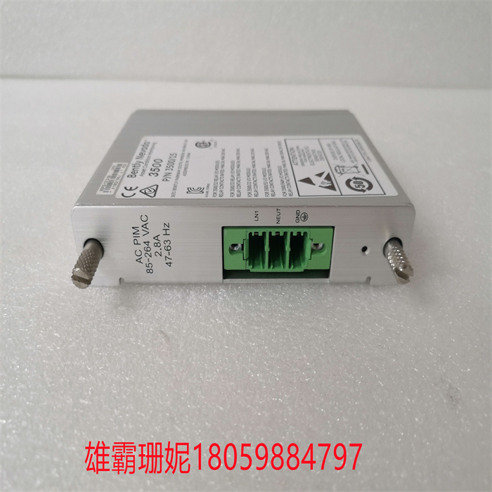 350015 106M1081-01欧美备件 CPU模块 PLC控制器