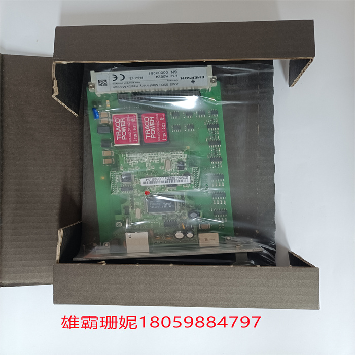 EMERSON A6824 9199-00090 机器运行状况监控器