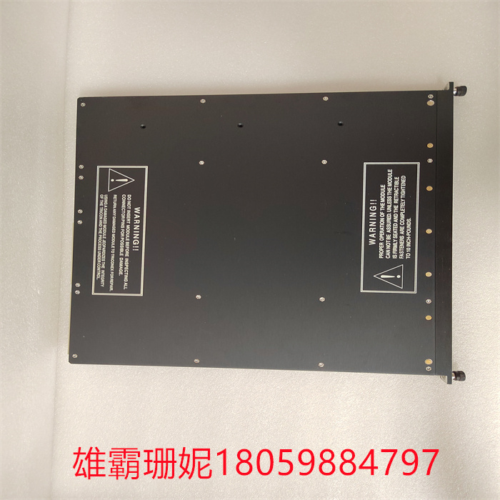 TRICONEX 3625A英维思 脉冲输入模块