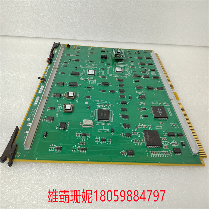 51306673-100 EPNI(4).jpg