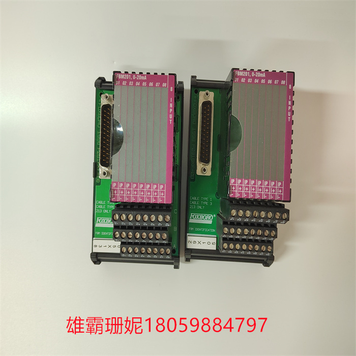 FOXBORO P0916AA 福克斯波罗 热电阻输入输出模块