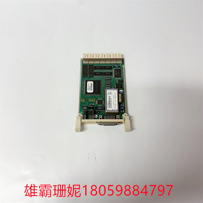 DAPI100 3AST000929R109 (2).jpg