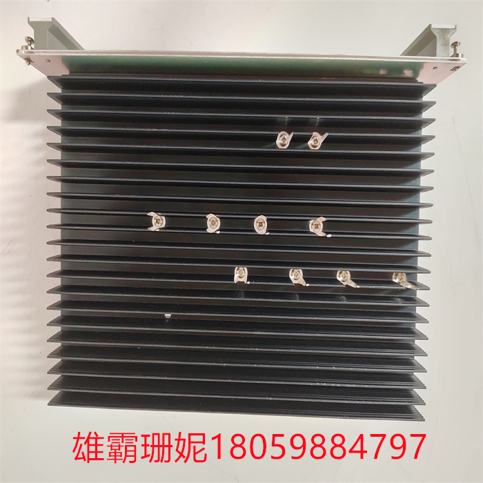 SCHROFF MPS022 13100-203(4).jpg