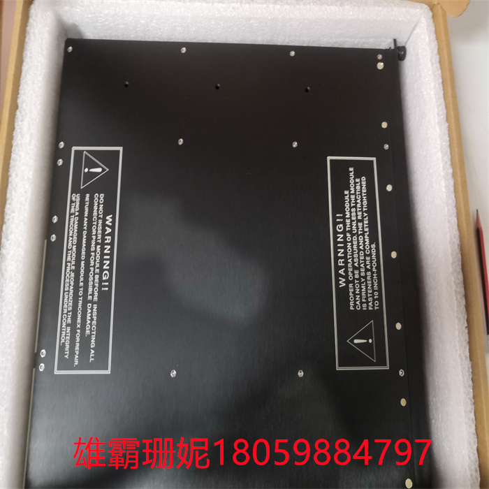 3625C1 TRICONEX 诚信服务 DCS控制系统