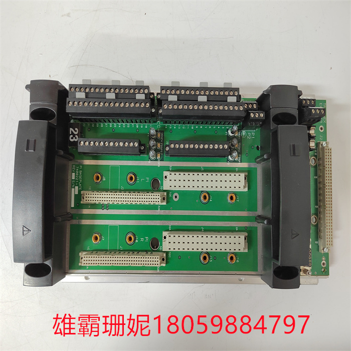 TRICONEX  PLC系统 EPI3382 7400221CPU模块