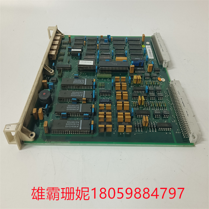 DSCA114 57510001-AA (4).jpg