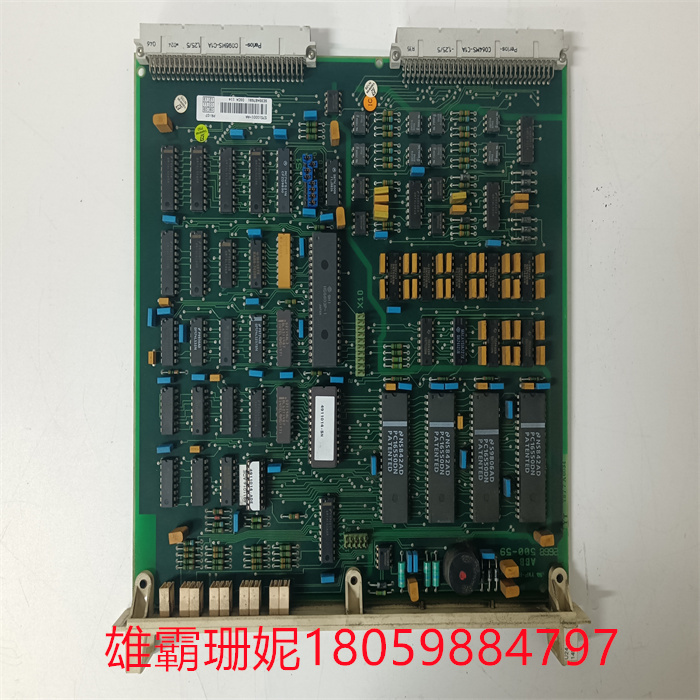 DSCA114 57510001-AA (2).jpg