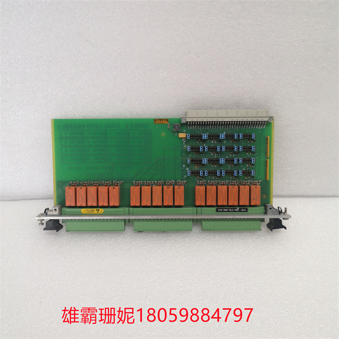 Vibro-meter 200-570-000-014 200-570-101-013 VM600 (1).jpg