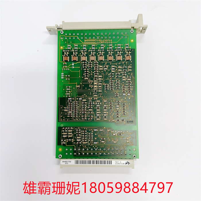 HIMA F6217 984621702 (5).jpg