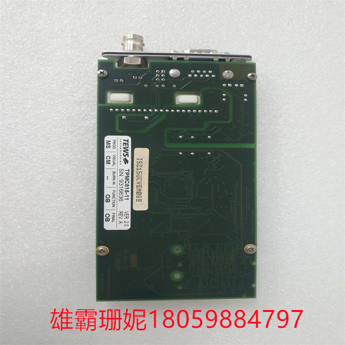 TEWS TPMC815-11 (3).jpg