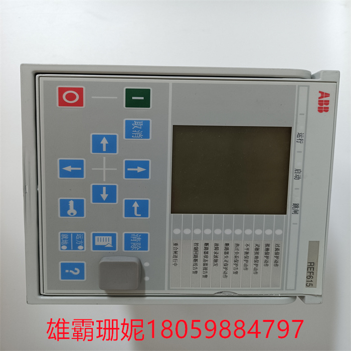 REF615C-D HCFFAEAGABC2BAA1XD.jpg