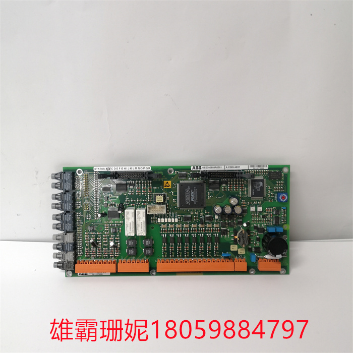 ABB AC389AE01 HIEE300888R0001 (1).jpg