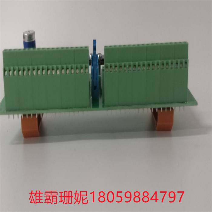 SCYC55830 58063282A (3).jpg