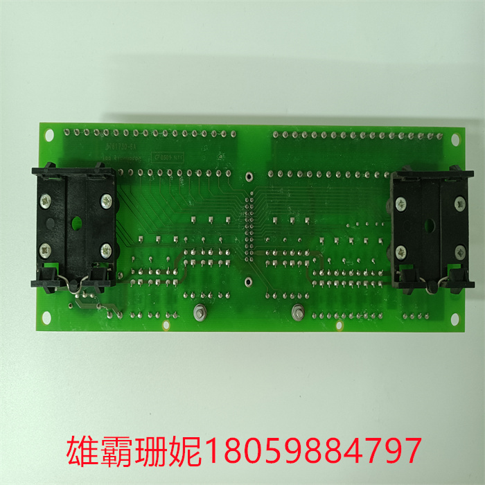 SCYC55830 58063282A (5).jpg