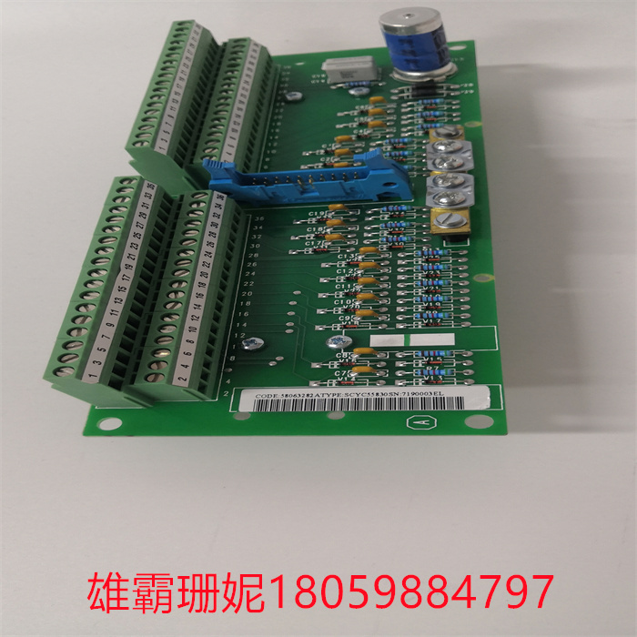 SCYC55830 58063282A (2).jpg