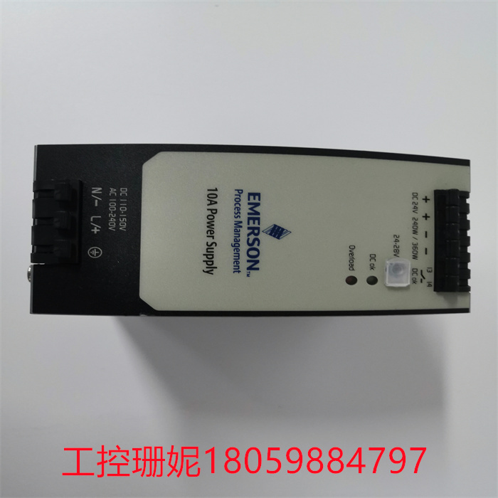 EMERSON 1X00781H01L(2).jpg