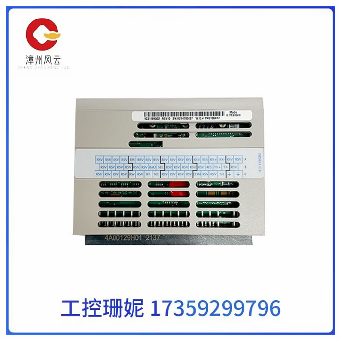 1C31169G02 EMERSON艾默生西屋 输入输出模块 DCS卡件
