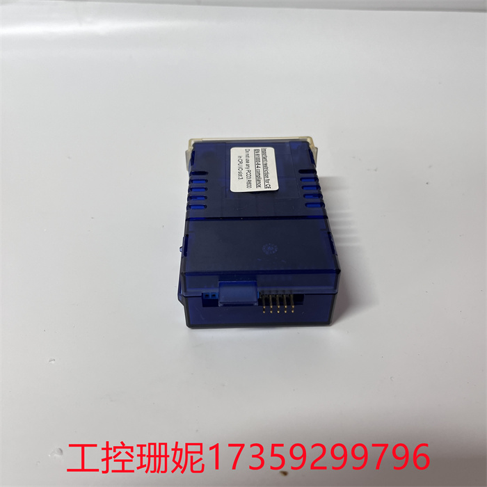 SAIA PCD3.R60X(6).jpg