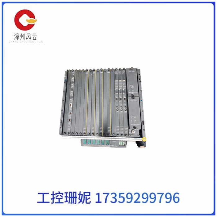 TRICONEX 8111 (3).jpg