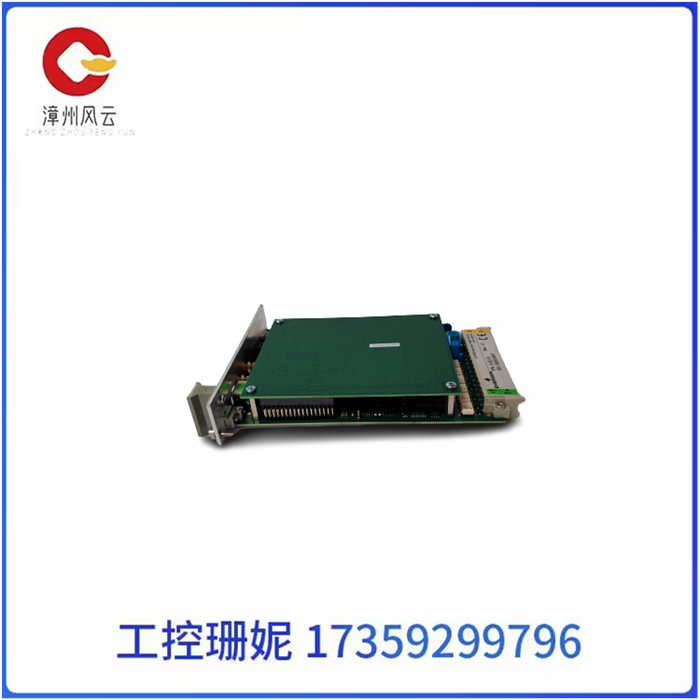 EMERSON A6210  多功能处理器端接模块