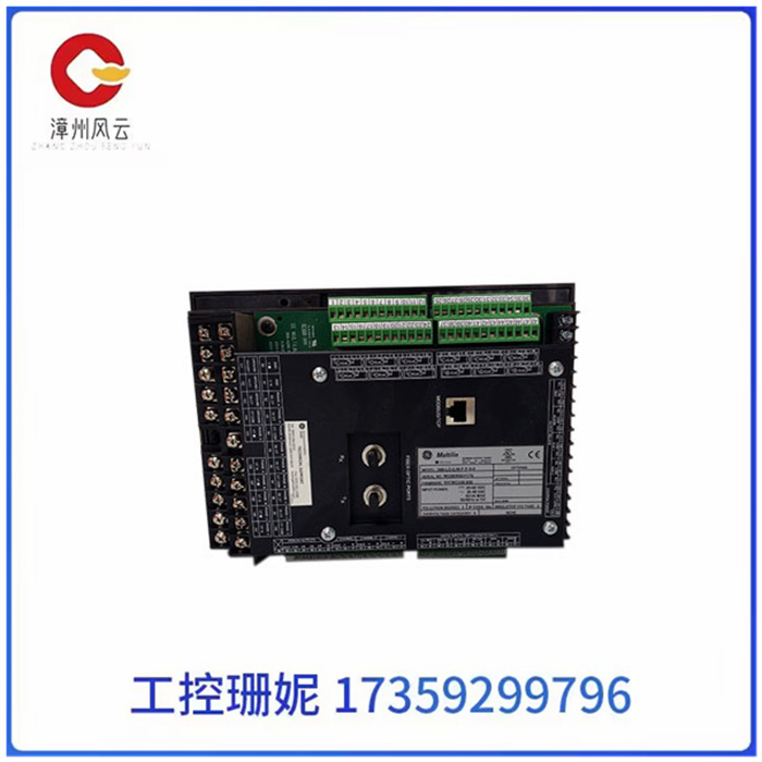 369-LO-0-M-F-E-0-0 2.jpg