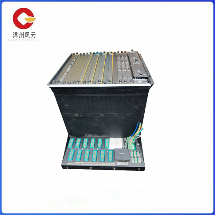 TRICONEX 8111 (2).jpg