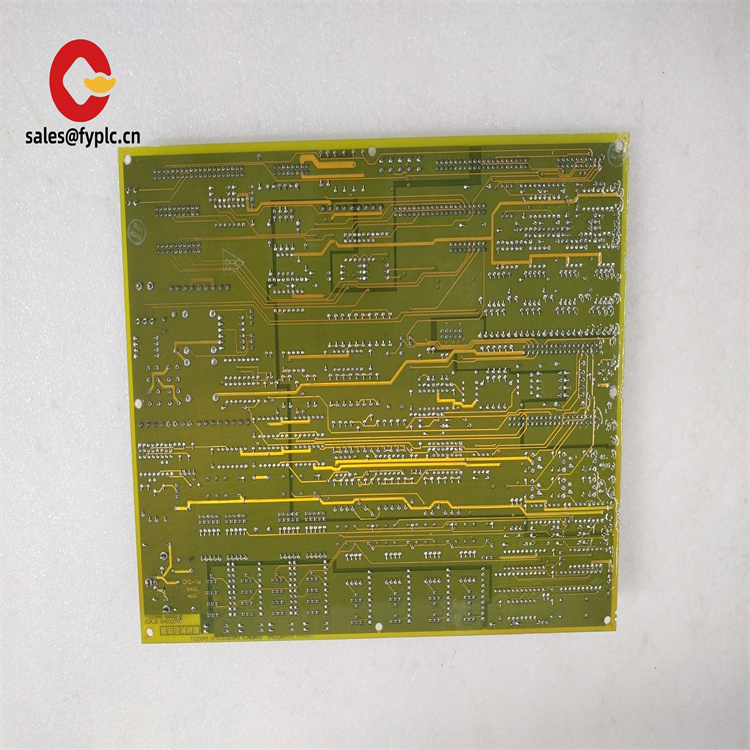 DS200TCQCG1AJD.肖仁娟.20240719.200017 (5).jpg